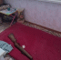 71-летнего жителя Воловского района осудили за незаконное хранение огнестрельного оружия - ГТРК