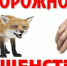 Новости округа - Город Талдом