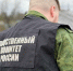 По факту гибели двух людей на пожаре следователи СК проводят доследственную проверку. - Новгородские Ведомости