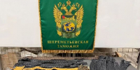 Таможня в Шереметьево нашла в чемодане пассажира 64 фрагмента крокодилов - РТВ-Подмосковье
