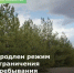 Продлен режим ограничения пребывания граждан в лесах - Минприроды Ростовской области