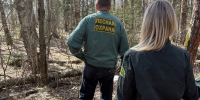 В первом полугодии  в Калужской области больше чем на треть снизилось число  незаконных лесозаготовок - Правительство Калужской области
