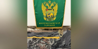 В багаже россиянина в Шереметьево нашли 64 части крокодила "для личного использования" - M24.Ru