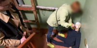Неистовая архангелогородка чуть не зарезала соседку на лестничной площадке - Tv29.Ru