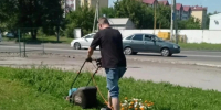 В микрорайоне Новосиликатный продолжаются работы по благоустройству и озеленению территории - Администрация г. Барнаул