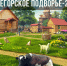 Итоги конкурса  «Вытегорское подворье-2026». - Вытегорский муниципальный округ