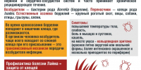 Об эпидситуации по клещевому вирусному энцефалиту и другим инфекциям, передающимся клещами - Роспотребнадзор