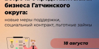 Гатчинским бизнесменам расскажут новых мерах господдержки - Гатчинская служба новостей