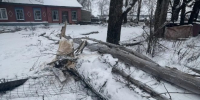 В Наровчатском районе вынесли приговор после гибели мужчины от падения дерева - SMI58.Ru