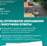 Никита Сиразетдинов взял на контроль ремонт улицы Дачной в Краснодаре - Югополис