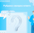 Рубрика «вопрос-ответ». - Старомайнский район