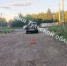 16-летняя девочка из Новомосковска попала под колеса на электросамокате - ИА Тульская пресса.Ru
