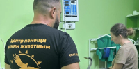 В ивановском центре «Легенда» спасают подростков: цаплю и енотовидную собаку - Известно.ру