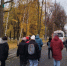 Во Владимирской области за полгода произошло около 100 преступлений против детей - Progorod33.Ru