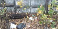 В Курске дело о мусорной площадке дошло до облсуда - Комсомольская Правда
