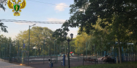 В Пятигорске организовали проверки после нападения собак на 5-летнего мальчика - ATVmedia.Ru