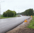 В 2026 году в Глазуновском районе отремонтируют 6 участков автодорог - InfoOrel.Ru