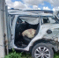 Geely влетел в грузовик на воронежской трассе: 5 человек пострадали и 1 погиб - ГТРК Воронеж