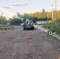 В Новомосковске водитель Buick сбила девочку на электросамокате - ИА Тульская служба новостей