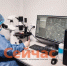 Более 1,6 тысячи процедур ЭКО провели в Нижегородской области - ИА Нижний сейчас