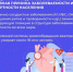 Неделя профилактики сердечно-сосудистых заболеваний - Газета Лужская правда