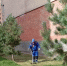 Управляющим компаниям Левобережья напоминают о необходимости своевременно выполнять покос травы во дворах. - Администрация города