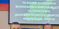 Томская область приняла участие в зональном совещании по развитию ветеринарии и животноводства - Департамент ветеринарии