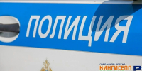 Уголовное дело возбудили после хищения кабеля в порту Усть-Луга - Кингисепп-сегодня.рф