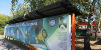 Сергей Шелест посетил обновлённый детский оздоровительный лагерь имени Гагарина - Вечерний Омск