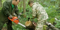 Лес в Серпухове чистят от бурелома: расчищено уже 70 гектаров - Smitanka.Ru