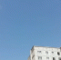 До +33 и ни капли дождя: Алтайский край до 19 августа задыхается от жары - 1-LINE