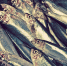 Фото: pixabay.com - KaliningradToday.Ru