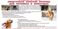 Бешенство — это вирусное заболевание, поражающее нервную систему. - Кигинский район