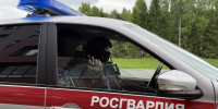 Росгвардейцы задержали нескольких нарушителей в увеселительных заведениях Коми  - ИА Комиинформ
