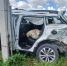 В страшном ДТП Geely с грузовиком на воронежской трассе погибла женщина и 5 человек пострадали - ВестиПК в Воронеже
