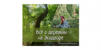 Специалист ЦЗЛ Калининградской области приняла участие в фестивале экологичных практик - Рослесозащита Калининградской области