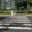 Во Владимире завершили 9 из 10 ремонтов, выполняемых в рамках нацпроекта - Комсомольская правда