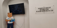 В Псковской области создали интерактивную карту для впервые голосующих - Псковская правда