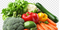 О контроле за качеством и безопасностью плодоовощной продукции - Роспотребнадзор