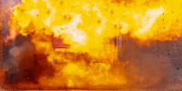 Фото: Serhii Yushkov/Shutterstock/Fotodom - Ямал-Медиа