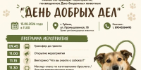 Сотрудники приюта для бездомных животных проведут акцию - Сетевое издание Новое время 31