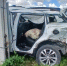 В Воронежской области Geely врезался в грузовик Shacman: погибла женщина, пострадали 2 девочки - РИА Воронеж