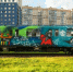 Гагара, лось и мамонты: художник из Югры расписал вагон петербургского метро - СургутИнформТВ