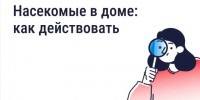 Борьба с насекомыми в многоквартирном доме. - Ракитянский район