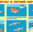 Памятка о безопасности на водоёмах в летний период - Володарский район