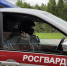 Росгвардейцы задержали нескольких нарушителей в увеселительных заведениях Республики Коми - Росгвардия