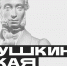 Более 46 тысяч молодых якутян воспользовались «Пушкинской картой» с начала 2026 года  - Якутское-Cаха ИА