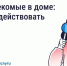 Борьба с насекомыми в многоквартирном доме. - Ракитянский район