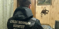 В Тамбове вынесен приговор местной жительнице, причинившей смертельное ножевое ранение сожителю - Следственное управление