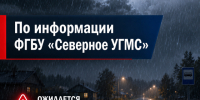 Предупреждение № 172. - Красноборский муниципальный округ